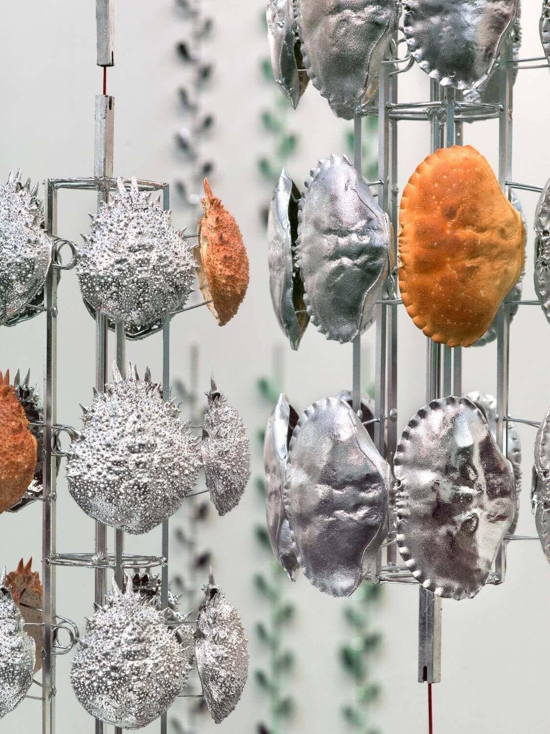 Crustacean Satellites Crustacean Satellites, 2018 /
Vakuummetallisierte Spinnenkrabben (Maja brachydactyla) und Taschenkrebse (Cancer pagurus) auf Edelstahlvorrichtungen, PVC-beschichtete Stahlkabel, Halterungen /
450 × 105 × 110 cm /
Foto: Stuart Whipps
