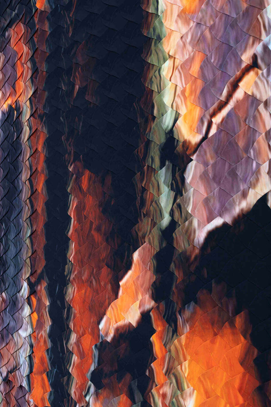 Pangolin Pangolin, 2023
UV-Digitaldruck auf den Storen des Kunstmuseums Appenzell /
je 346.5 × 358 cm; 226 × 358 cm /
Heinrich Gebert Kulturstiftung Appenzell