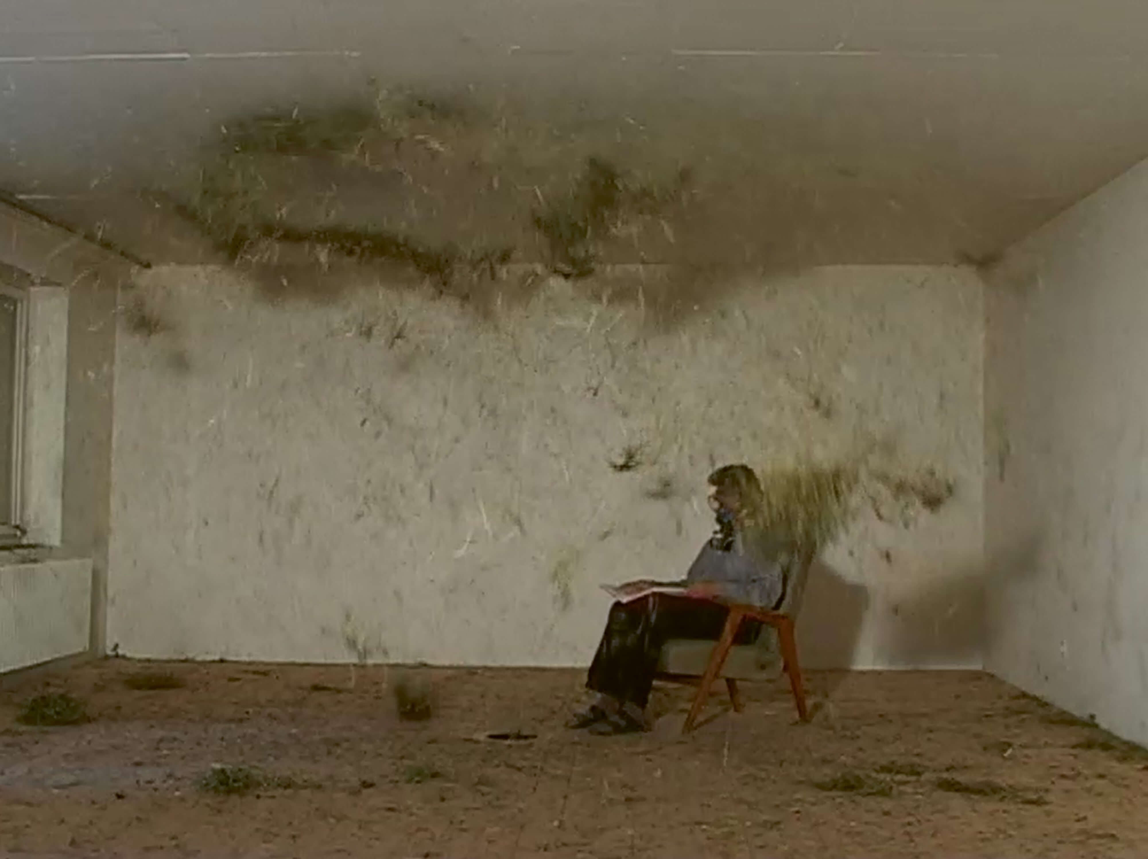 Heufieber, 2006 Roman Signer, Heufieber (2006), St.Gallen (CH), Video, Kamera: Aleksandra Signer, ©Roman Signer