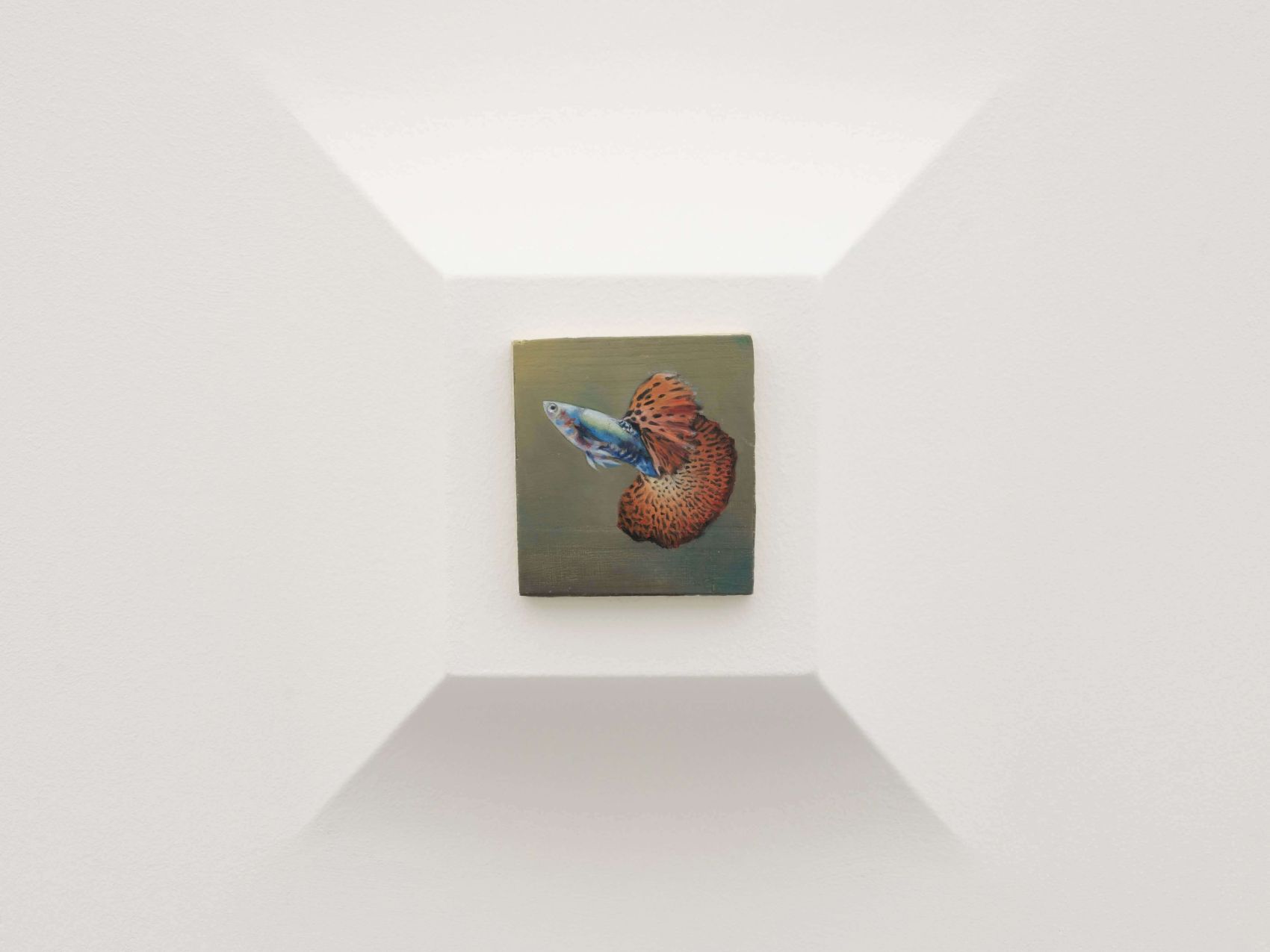 Exhibition view, Francisco Sierra. Corniche, Kunsthalle Appenzell, 19.3. – 11.6.2023, photo: Sebastien Verdon