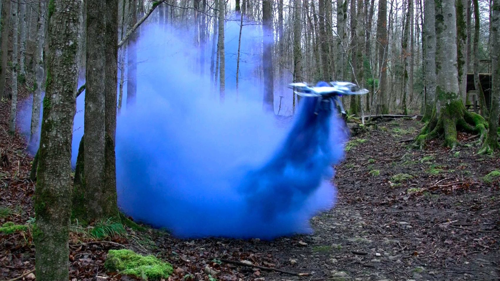 Roman Signer, Blauer Rauch, 2016, Videoprint: Tomasz Rogowiec, ©Roman Signer Roman Signer, Blauer Rauch, 2016, Videoprint: Tomasz Rogowiec, ©Roman Signer