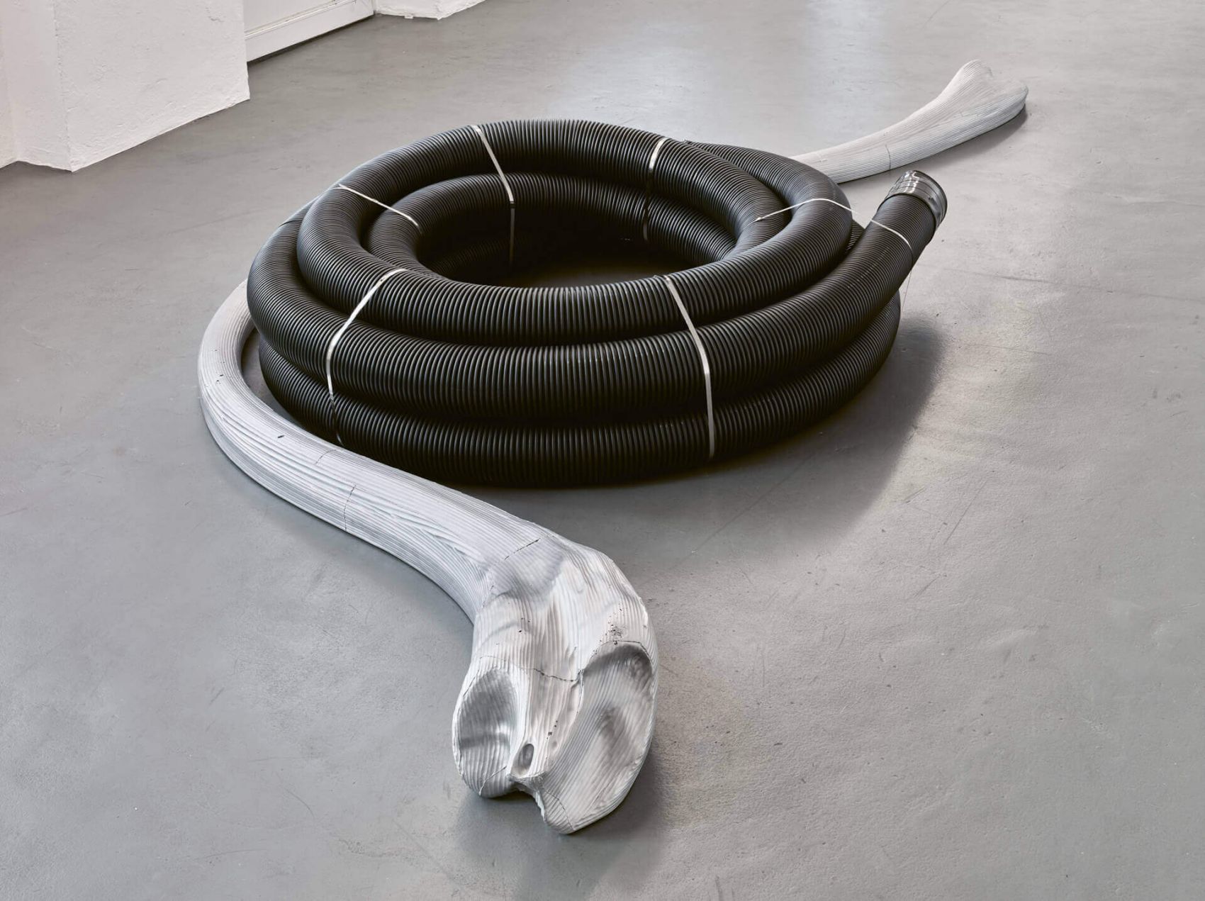 Ammonite Ammonite, 2019 /
Echioceras ammonite fossil, polypipe 160 mm × 25 m,black ridgicoil electric INC RC160×25BE, stainless steel, cable ties, sand-cast aluminium /
376 × 45 × 180 cm /
Photo: Achim Kukieles