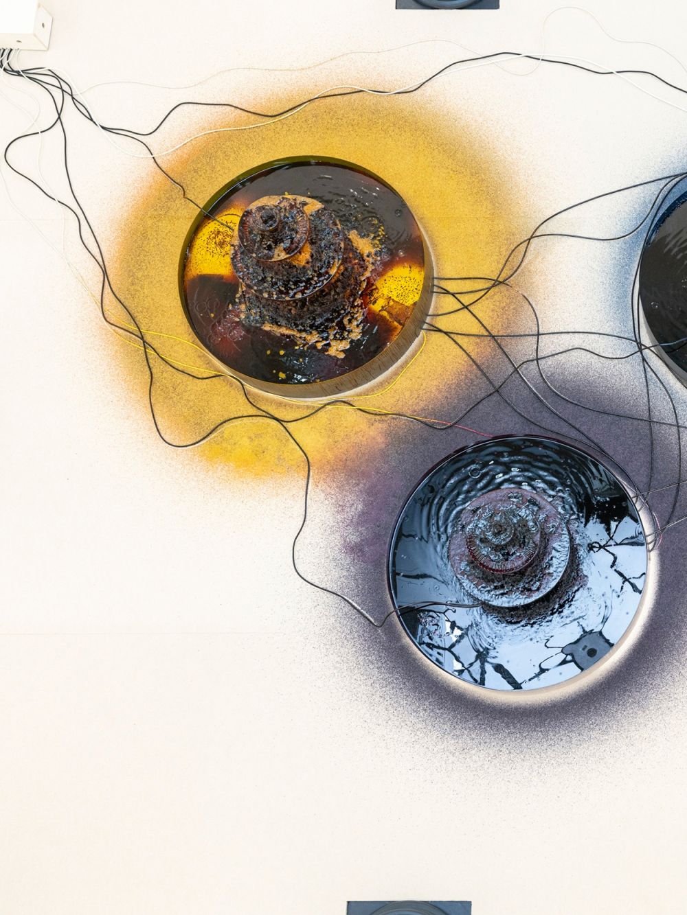 Poster «Caline Aoun»