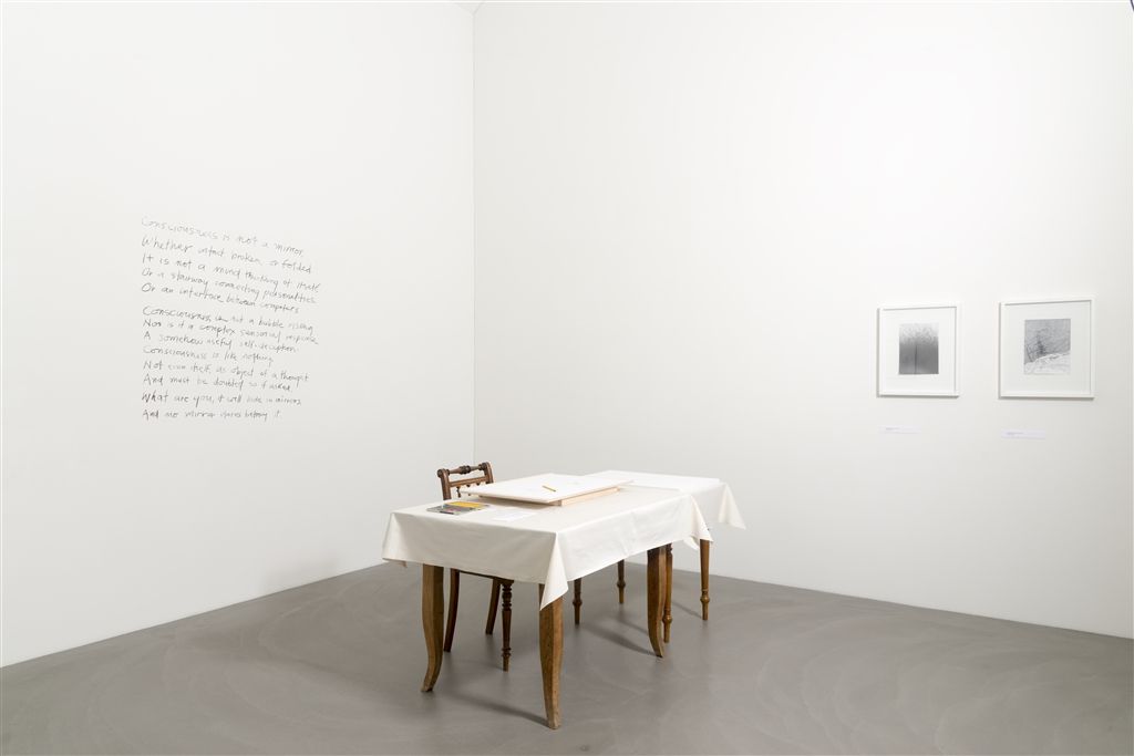 Ausstellungsansicht, Jonathan Bragdon. DASEIN, 28.8. – 27.11.2016, Kunstmuseum Appenzell, Foto Urs Baumann