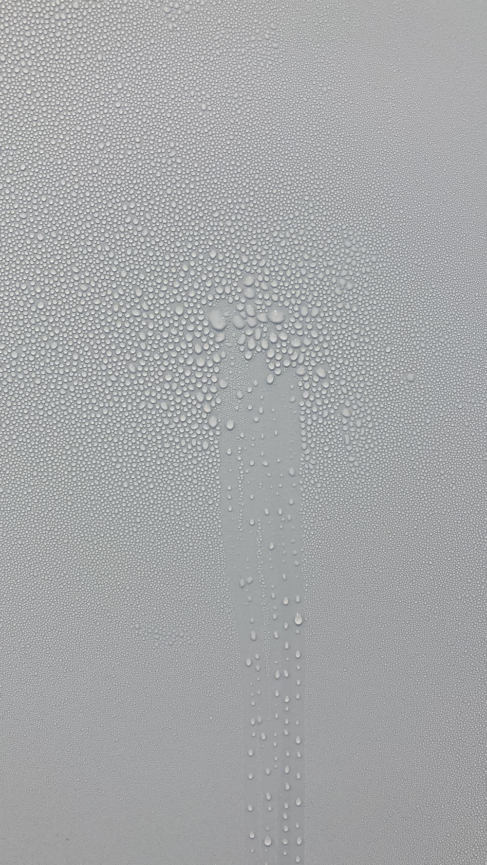 Poster «Caline Aoun»