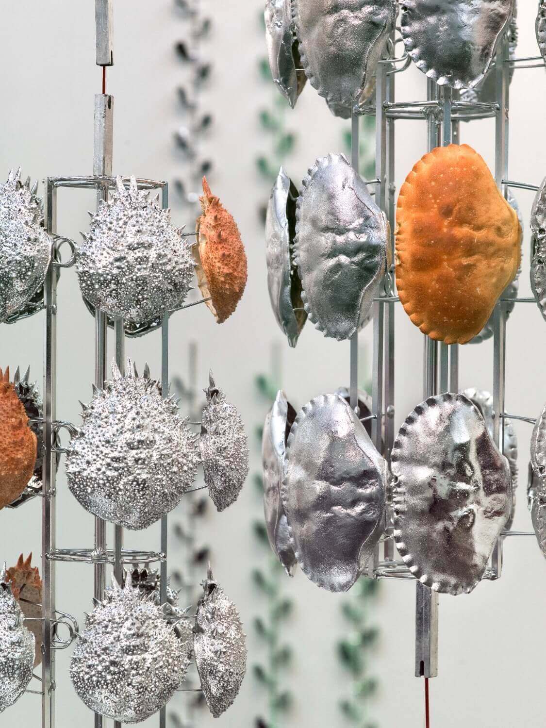 Crustacean Satellites, 2018 / 
Vakuummetallisierte Spinnenkrabben (Maja brachydactyla) und Taschenkrebse (Cancer pagurus) auf Edelstahlvorrichtungen, PVC-beschichtete Stahlkabel, Halterungen / 

450 × 105 × 110 cm /
Foto: Stuart Whipps