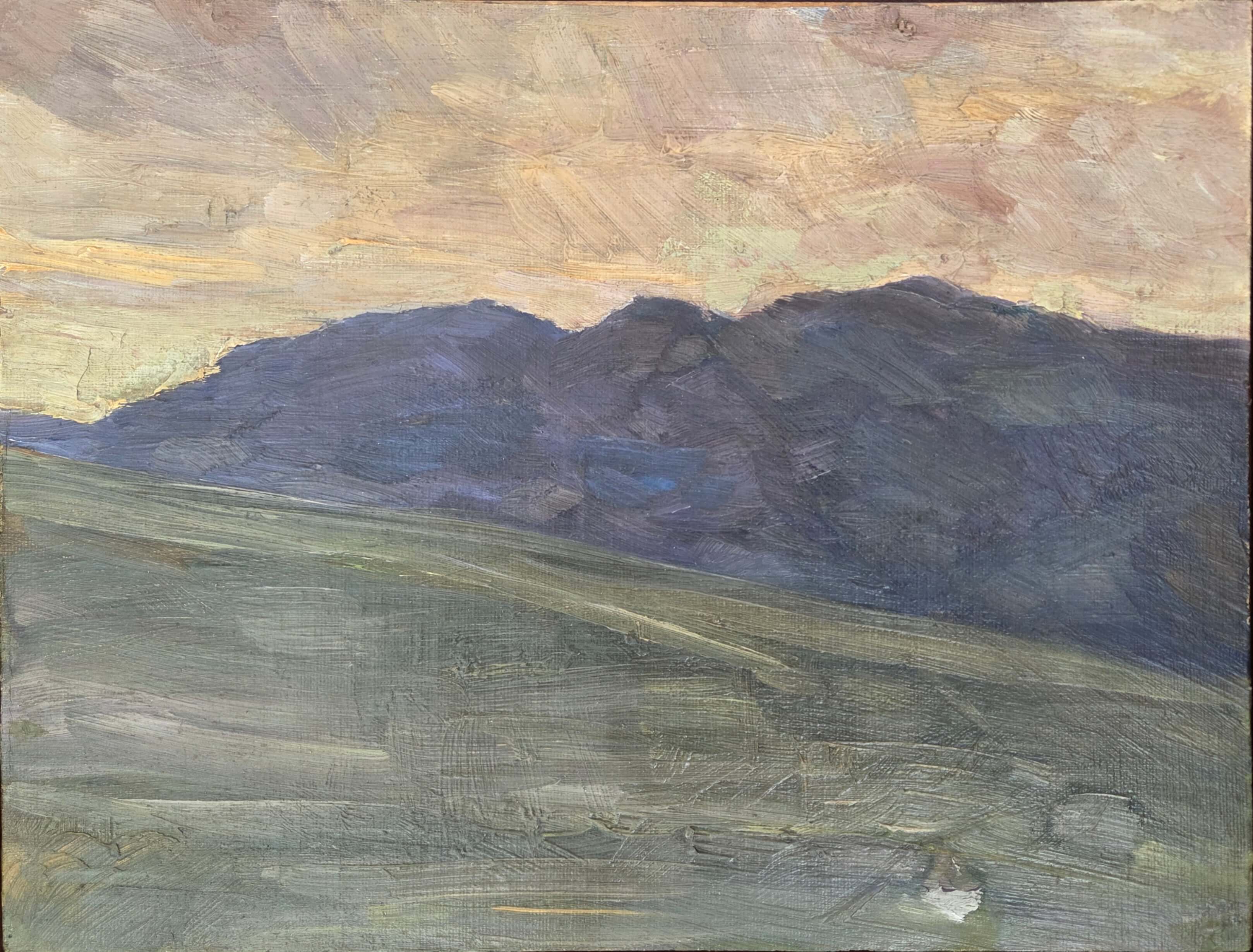 Carl August Liner, Appenzeller Landschaft beim Einnachten, o.J. / undated
