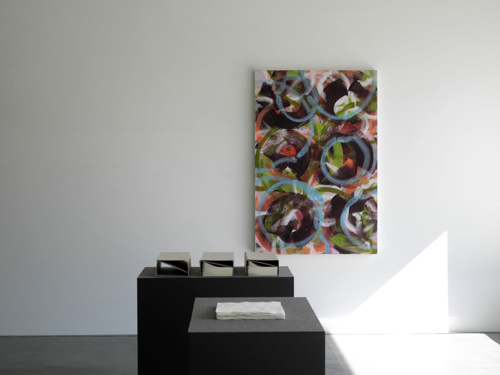 Ausstellungsansicht, Stefan Steiner. EFACH EINFACH, 8.5. – 1.9.2013, Kunstmuseum Appenzell, Foto Urs Baumann