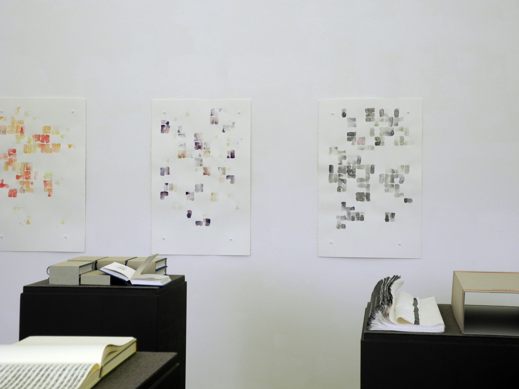 Ausstellungsansicht, Stefan Steiner. EFACH EINFACH, 8.5. – 1.9.2013, Kunstmuseum Appenzell, Foto Urs Baumann