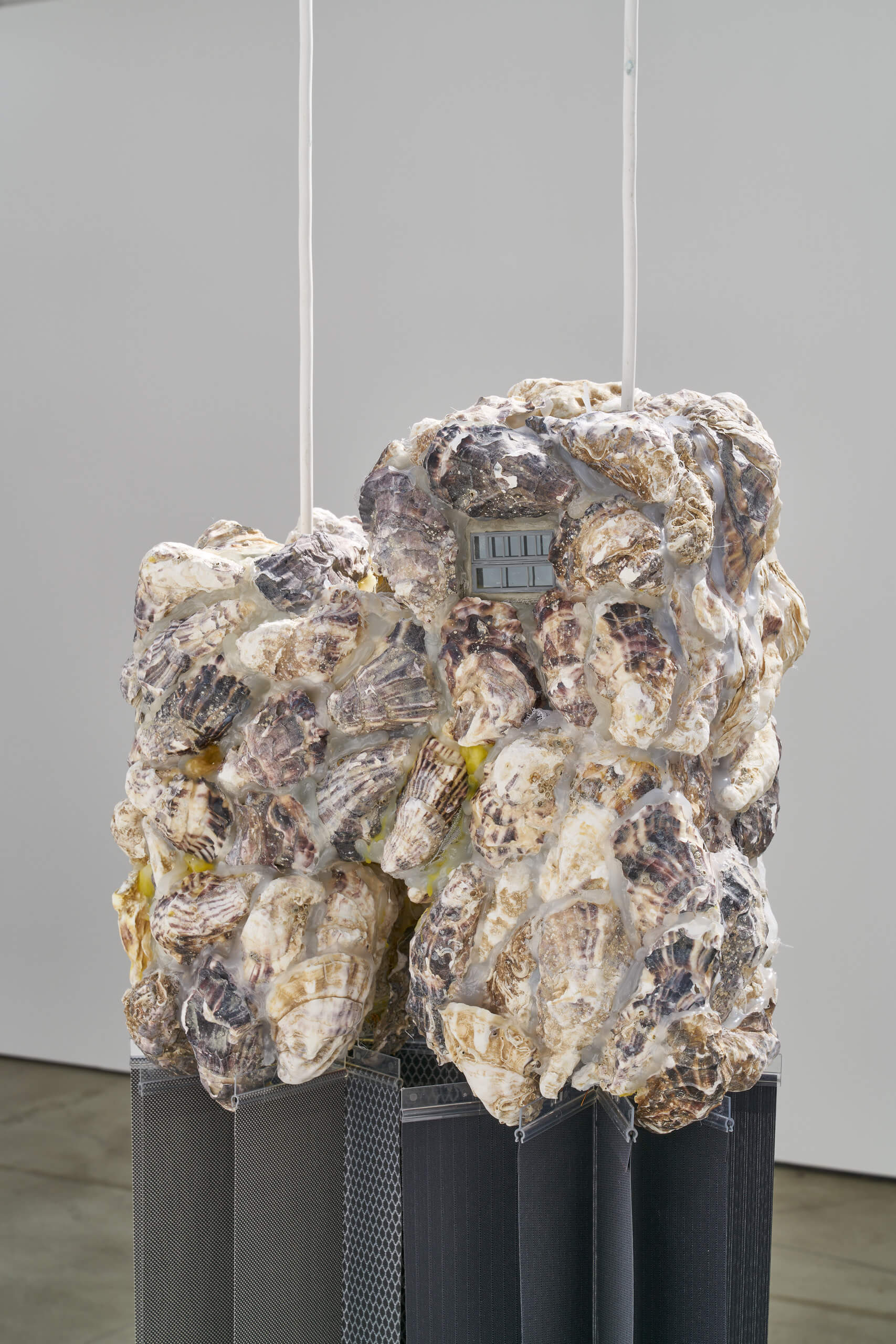 Agata Ingarden, Blind suit prelude 1, 2021